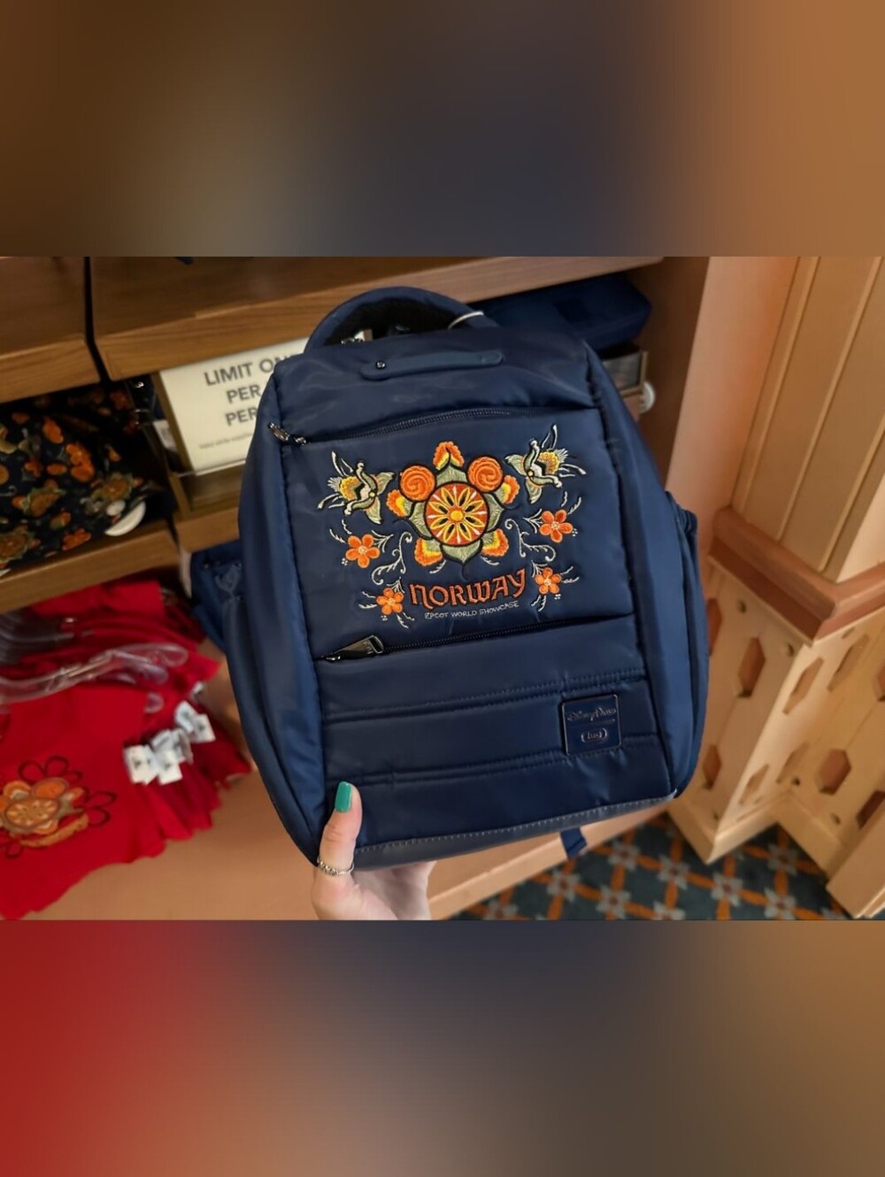 Disney Parks Norway Lug Backpack Unisex